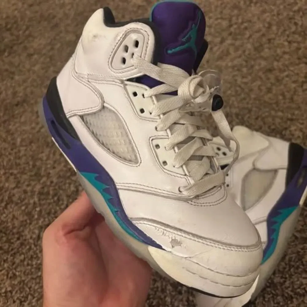 Jordan Air Jordan 5 Retro Grape